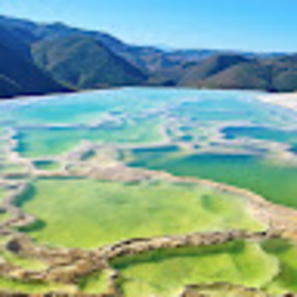 Meet your Posher, Nayely - Picture 1 of 1